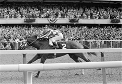 Secretariat