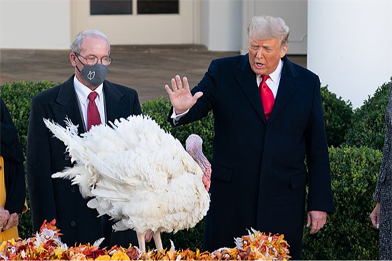 Trump Turkey Pardon