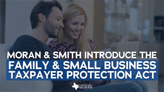 Family and Small Business Taxpayer Protection Act