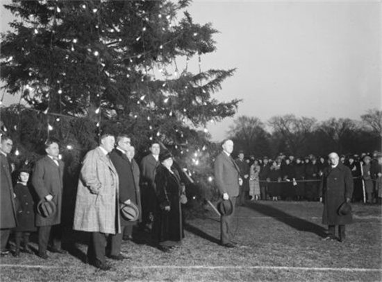 Coolidge Tree